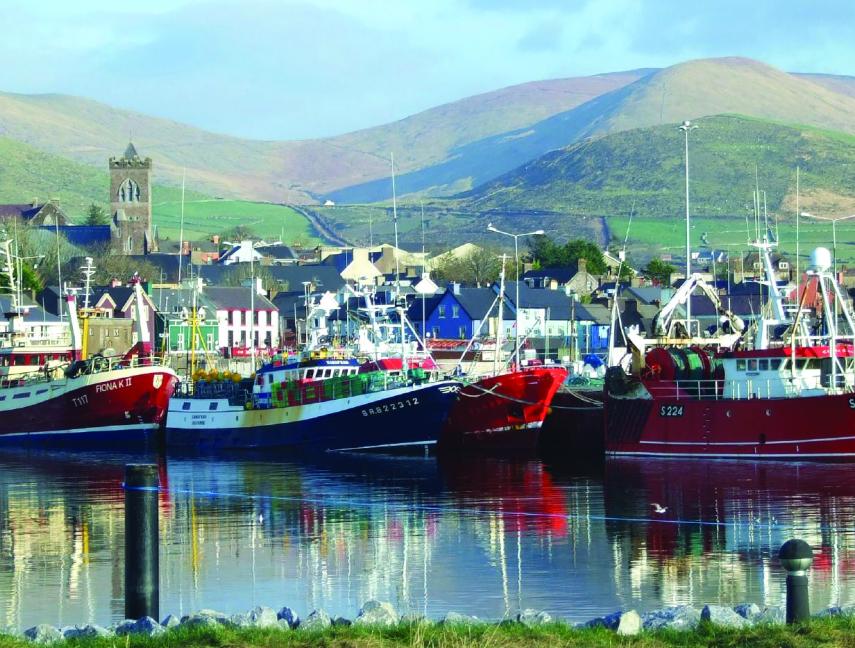 CP-Dingle-Marina Visit Ireland