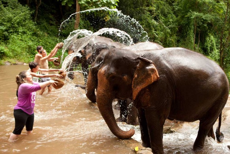 Playing-with-the-elephants-in-Chiang-Mai-Thailand1-734x490 Chiang Mai Thailand Trip